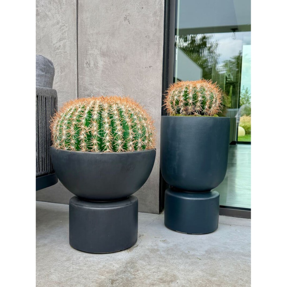 Kaktus kulisty 45 cm Monnarita