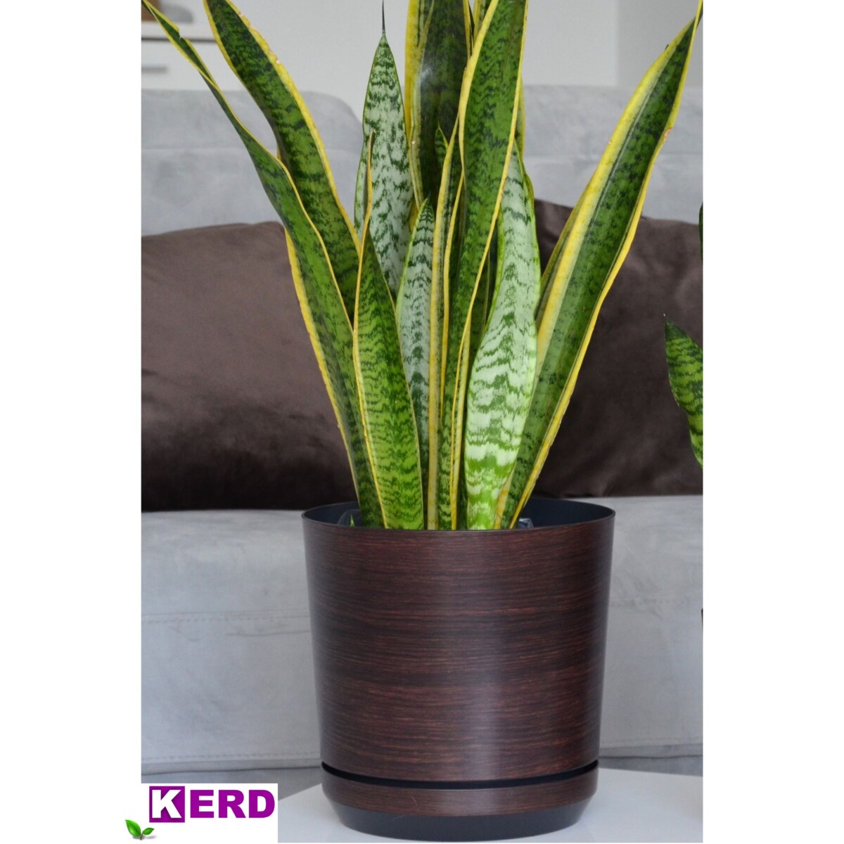 12 cm wzór DESKA * Doniczka z podstawką imitacja panelu wengedębowej deski styl naturalny drewnopodobna