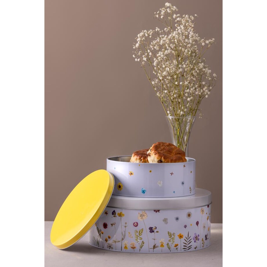 Zestaw 2 pojemników na ciastka Botanics, Typhoon