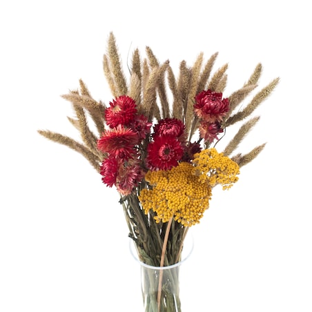 Zestaw suszonych kwiatów Tramonto roz. S - krwawnik, kocanka, setaria