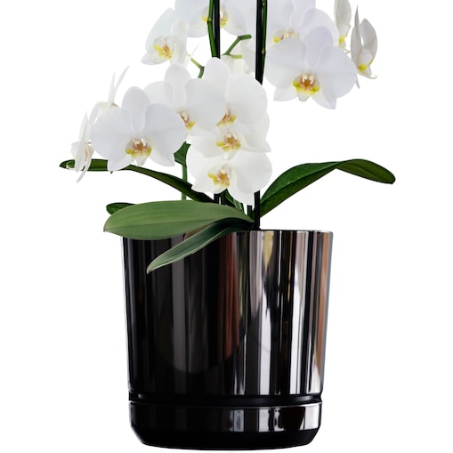 14 cm wzór CZARNY BŁYSZCZĄCY Doniczka z podstawką nowoczesna glamour efekt lustra black wysoki połysk metaliczna elegancka