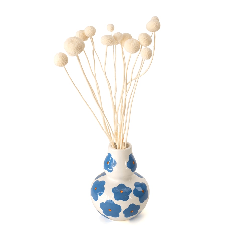 Suszona kraspedia bielona ok. 12 szt.