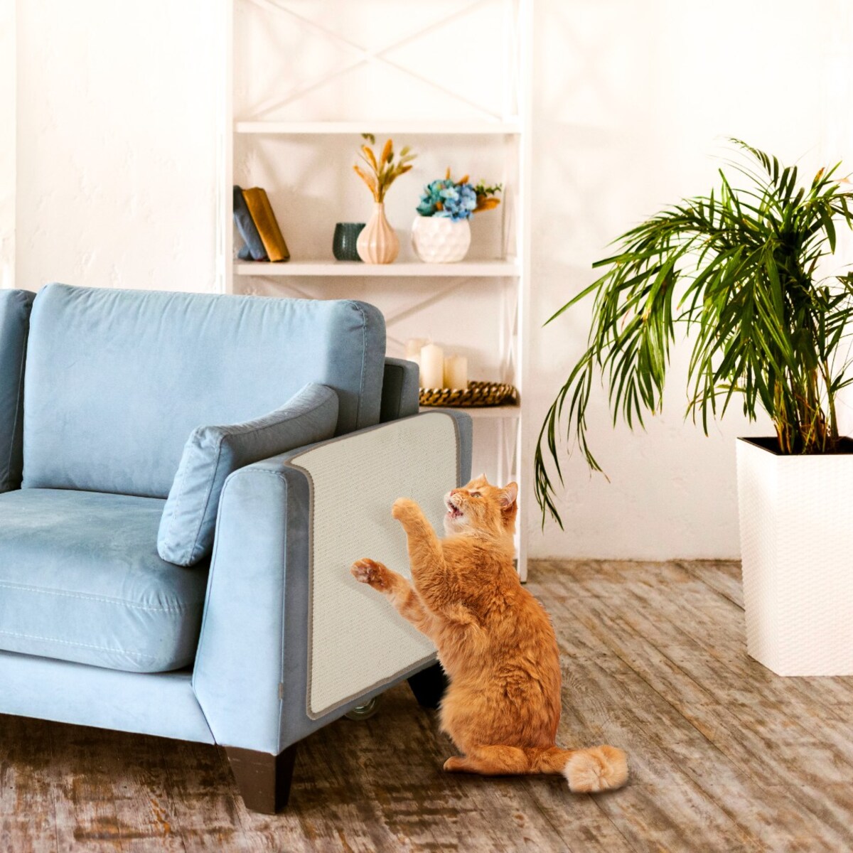 Drapak Na Meble Kanape Ścianę Drzwi Dla Kota Duży Ochrona Przeciw Drapaniu