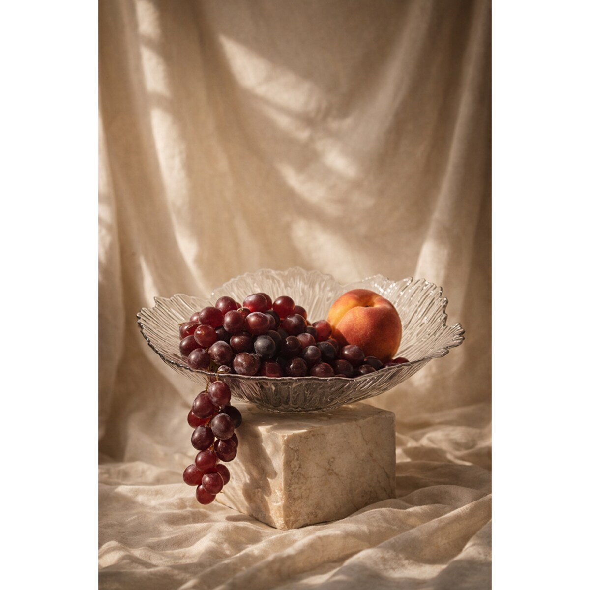 Patera na owoce SHP FRESH transparentna