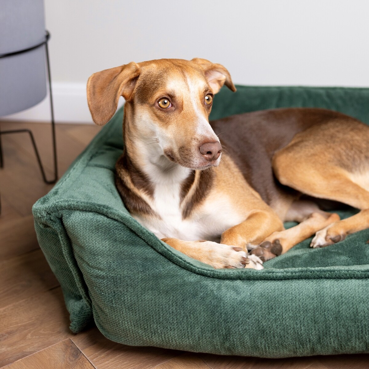 Ortopedyczne legowisko dla psa IRIS, 100x80 cm, Zieleń