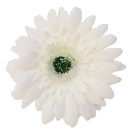 KWIAT SZTUCZNY 6 szt główka BIAŁY do stroika wiązanki kompozycji GERBERA