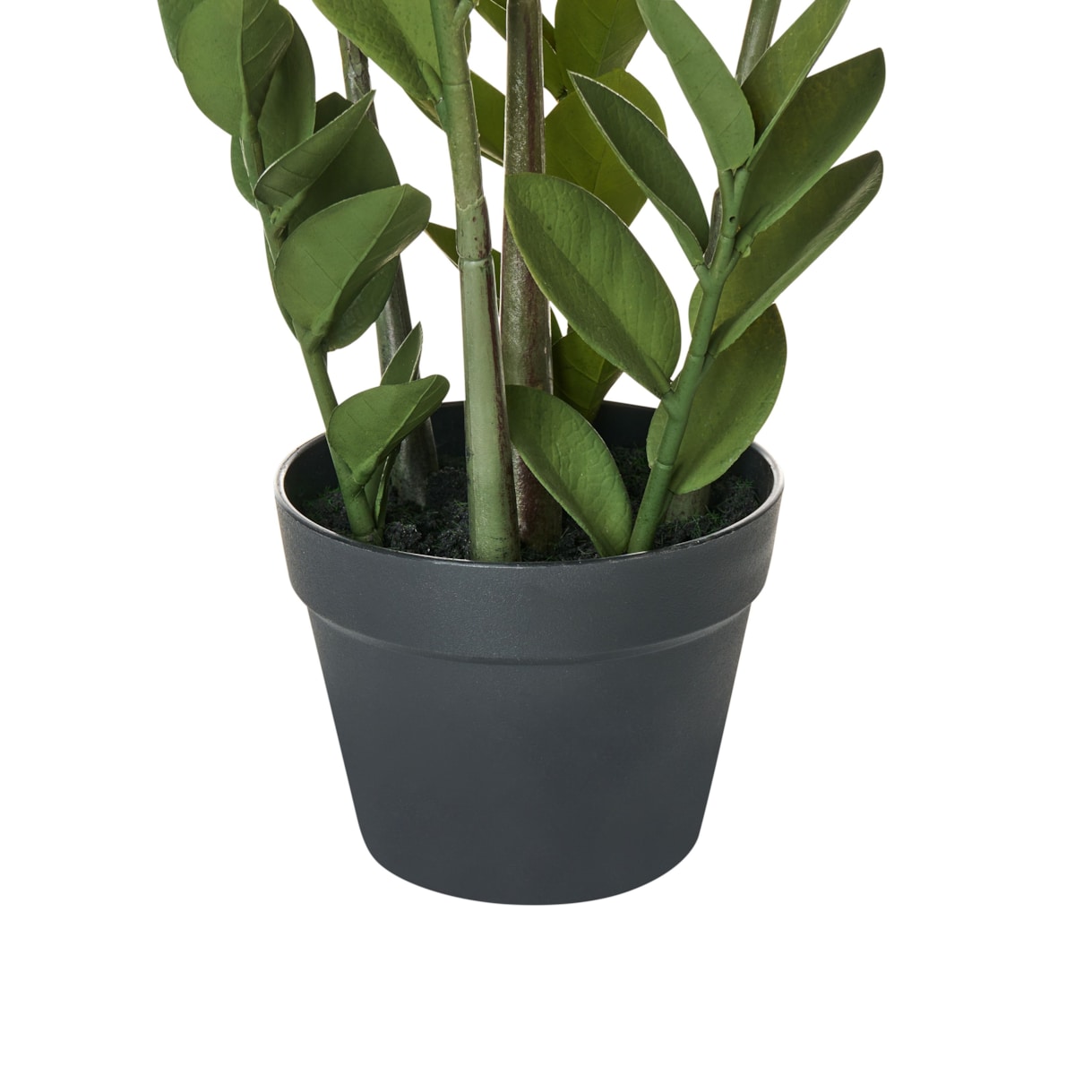 Sztuczna roślina ZAMIIFOLIA 76 cm Zielony