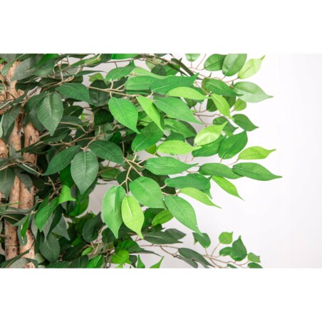 Drzewo Figowiec Sztuczne Drzewko Ozdobne W Doniczce 200 Cm