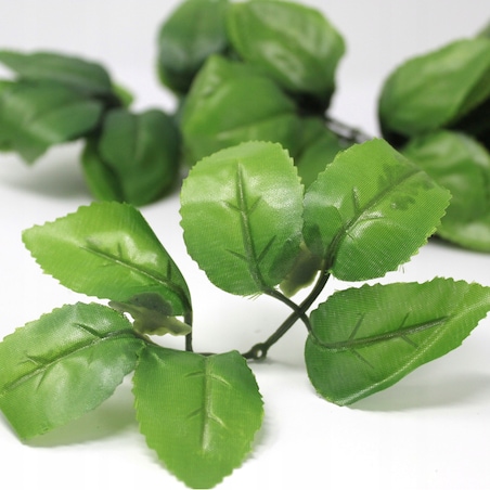 10x LIŚCIE do kwiatów mydlanych dodatek RÓŻY liść