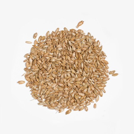 Poduszka podróżna z łuską orkiszu (niebieska)