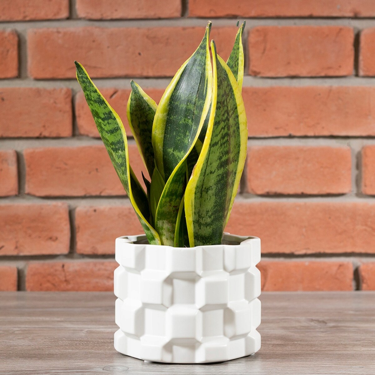 DONICA ANNA hexagon biała ceramiczna śr. 15cm