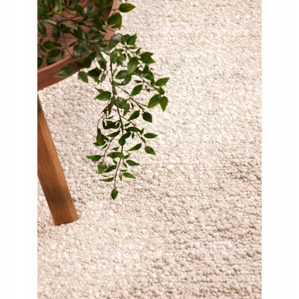 Dywan pętelkowy do salonu 160x230cm,TED BAKER Nothing HILL kremowo beżowy