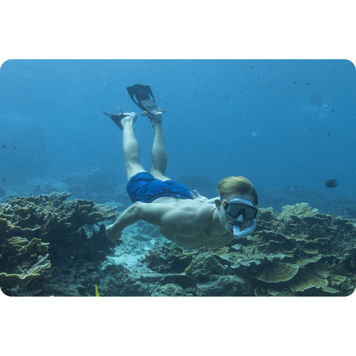 Zestaw do nurkowania dla dzieci maska + rurka + płetwy Bestway 25020-04