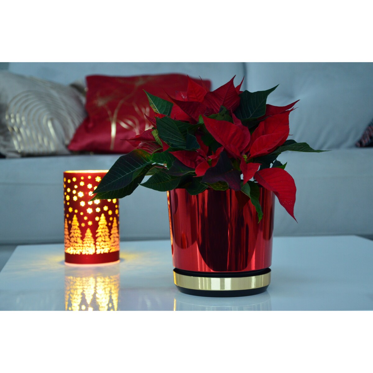 16 cm Doniczka z podstawką Czerwona + Złoty błyszczący wysoki połysk świąteczna do POINSECJI Gwiazdy Betlejemskiej dekoracja do stroików z drenażem wzór DUO/083/011