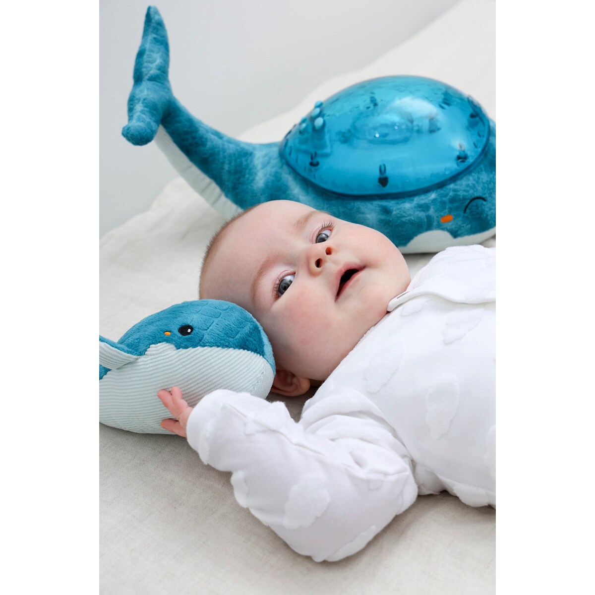 Projektor z grzechotką -Wieloryb niebieski - Cloud b® Tranquil Whale™ Blue Family