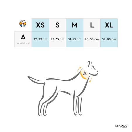 Zestaw: smycz i szeroka obroża, rozmiar S