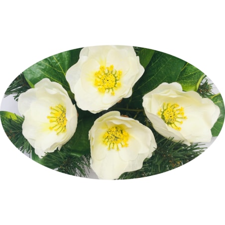 GOTOWY STROIK bukiet podkład w doniczce na cmentarz grób mamy babci kwiaty