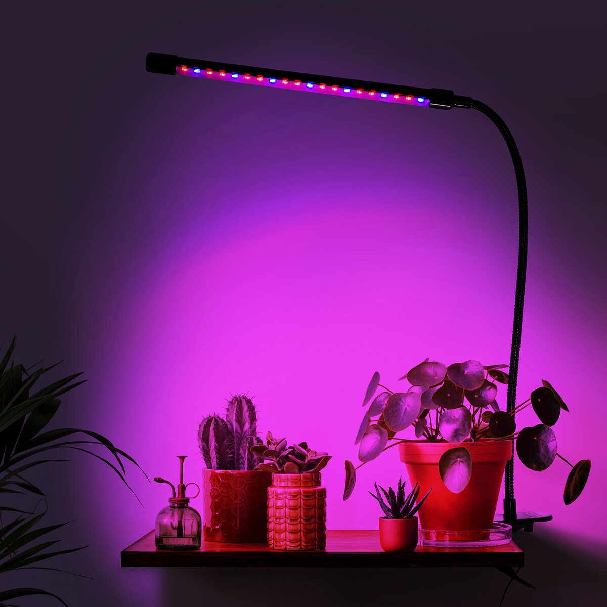 Lampa Led Do Wzrostu Roślin 20 Diod Timer 9 W Uprawa Roślin Do Domu Z Zasilaczem Sieciowym