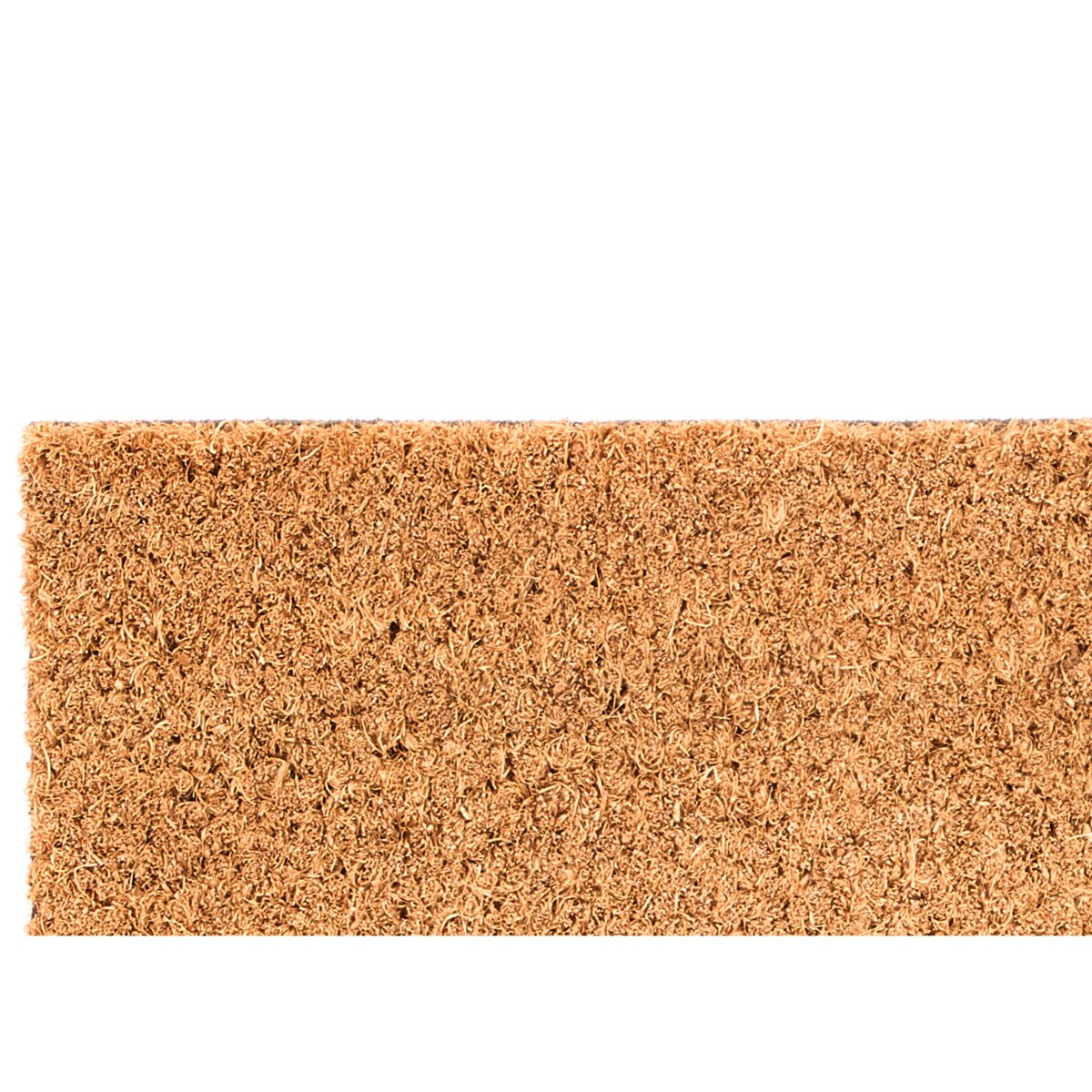 Wycieraczka pod drzwi z włókna kokosowego WELL, 25 x 60 cm