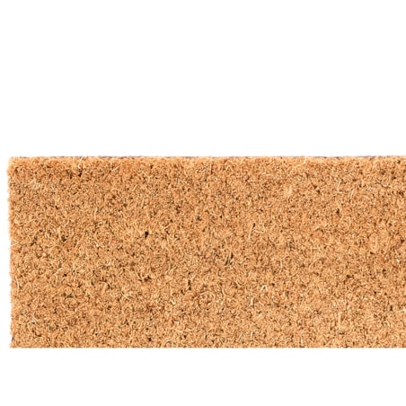Wycieraczka pod drzwi z włókna kokosowego WELL, 25 x 60 cm