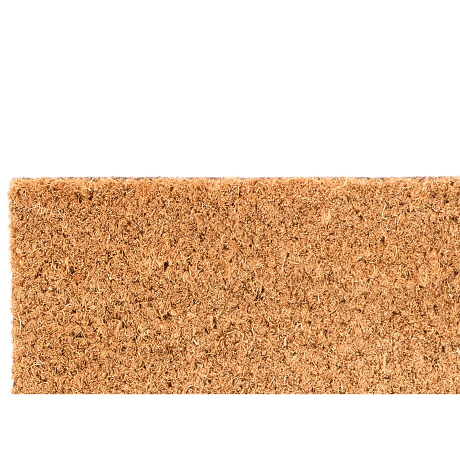 Wycieraczka pod drzwi z włókna kokosowego WELL, 25 x 60 cm
