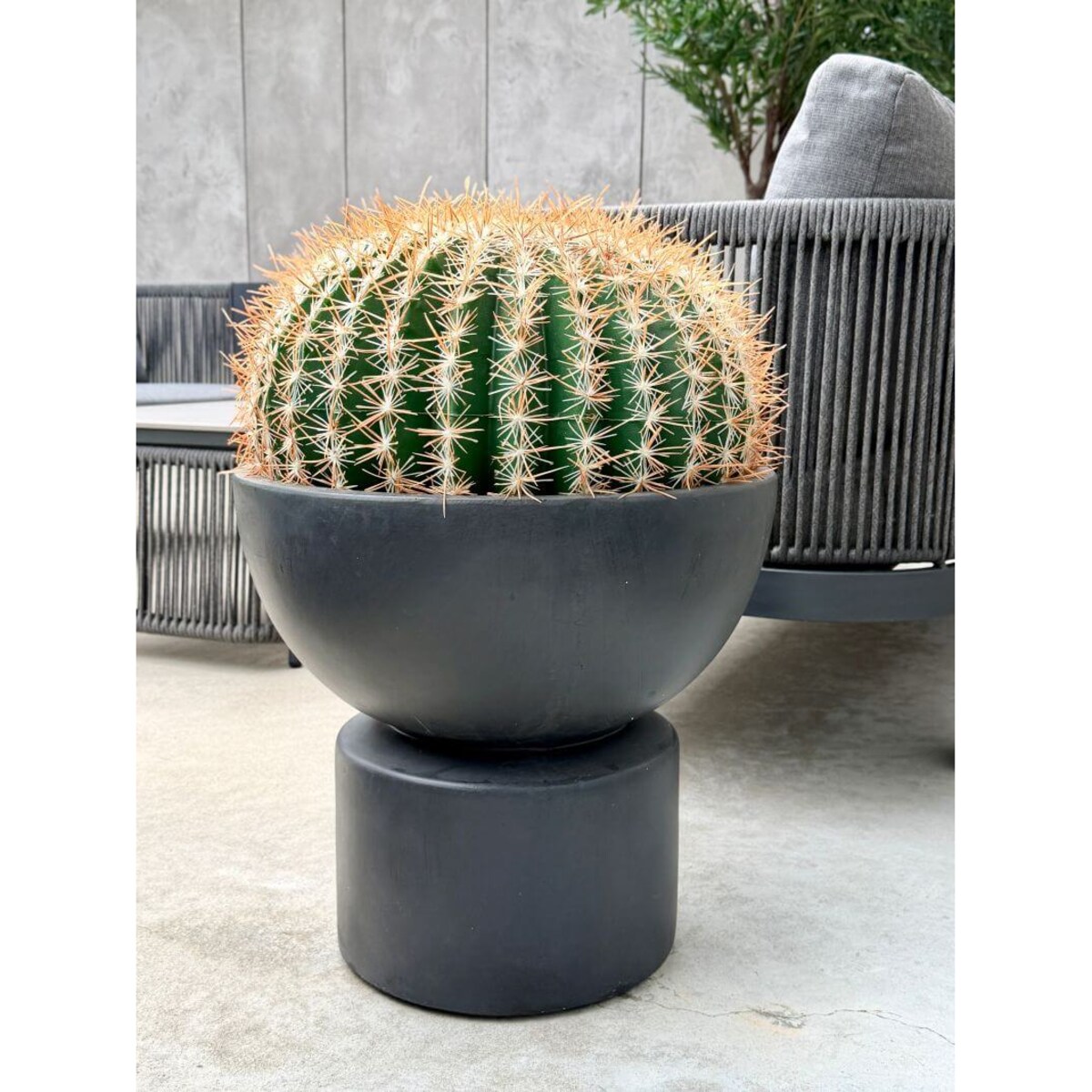 KAKTUS KULISTY 45 CM