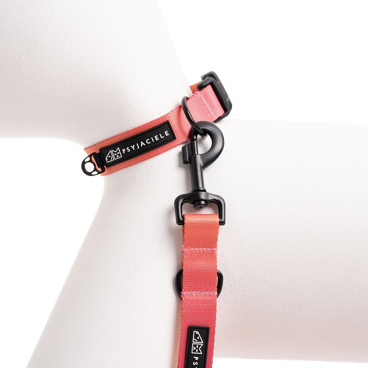 Obroża dla psa lub kota "Under my ombrella" POMARAŃCZ - Szerokość taśmy: 25mm, Rozmiar: L