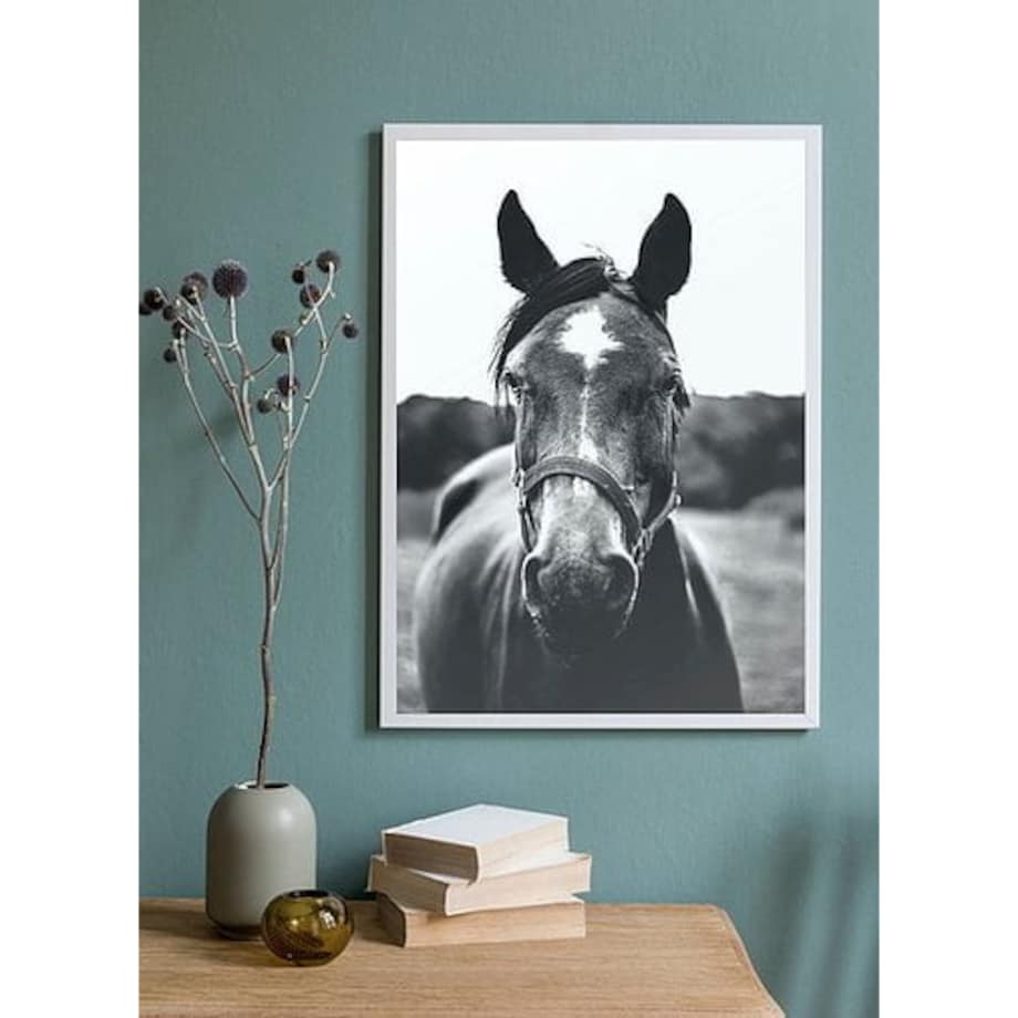 Poster Story, Plakat, Obraz - Czarno-biały Portret Konia, wymiary 50 x 70 cm