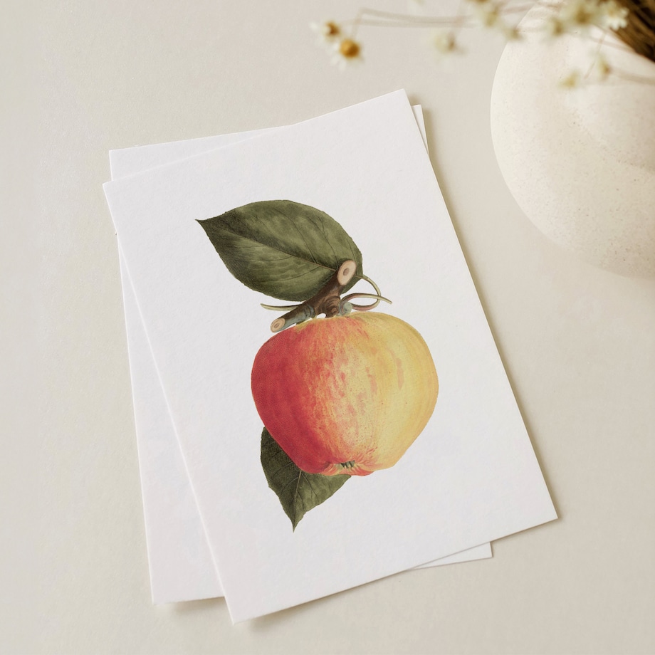 Plakat dojrzałe jabłko 30x40cm