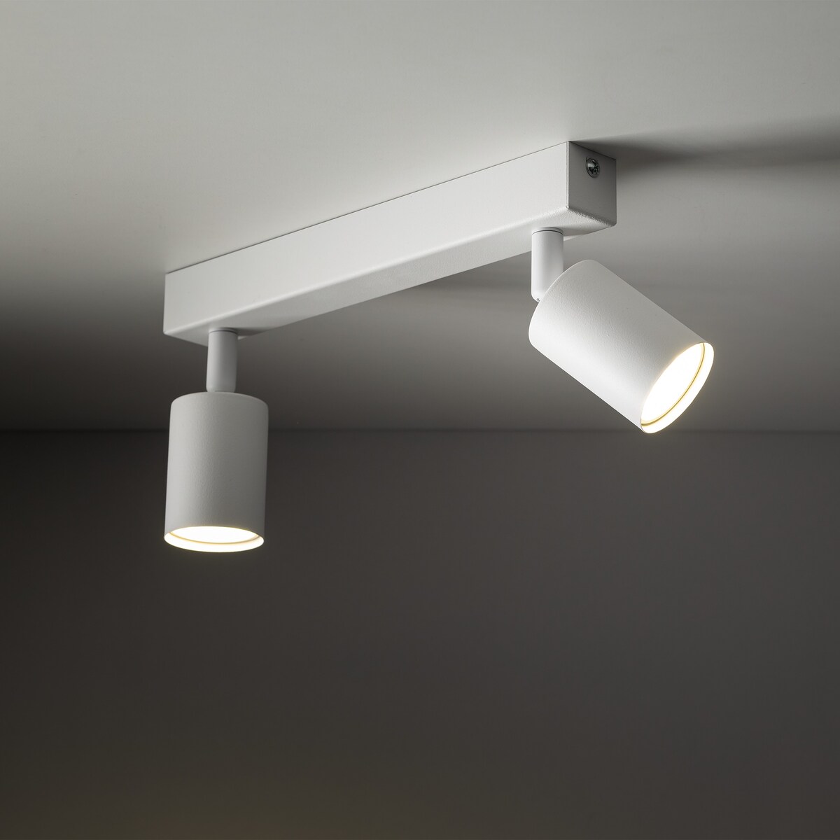 Biały reflektor sufitowy NEX WHITE TK Lighting 2xGU10 regulowany metalowy spot 10787