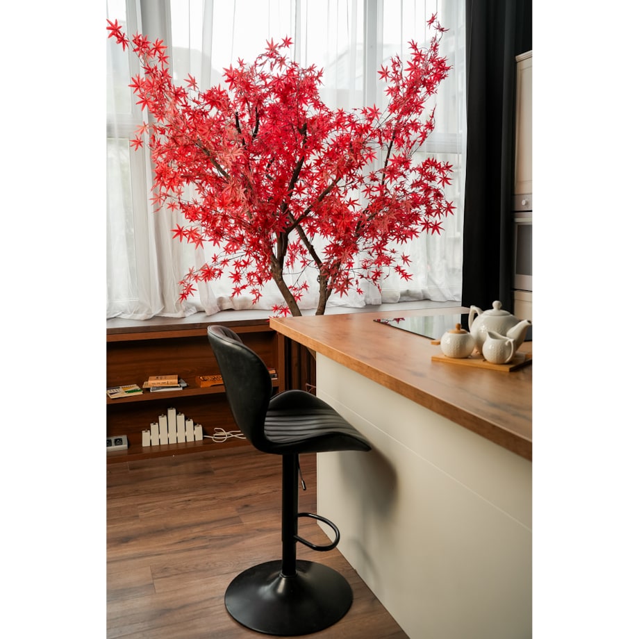 Drzewo klon palmowy z czerwonymi liśćmi na naturalnym pniu 250 cm x 250 cm