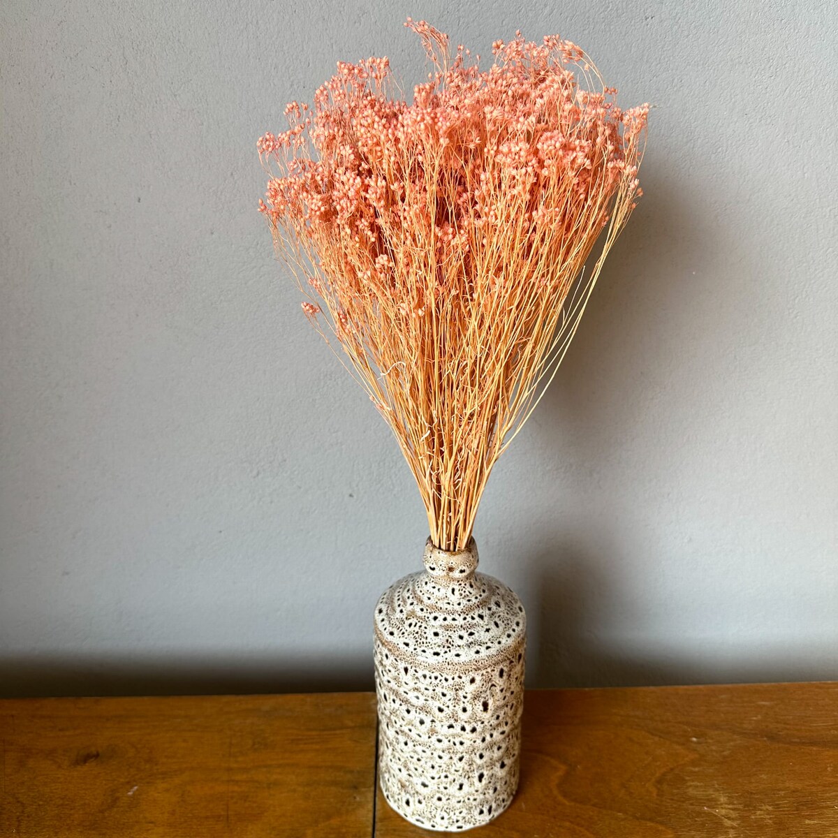 Broom Bloom - Suszony Żarnowiec Jasnoróżowy