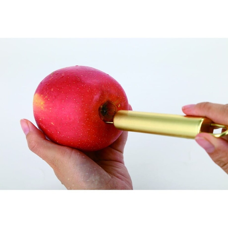 Drylownica Wykrawacz ogryzka Separator nasion złoty KINGHOFF