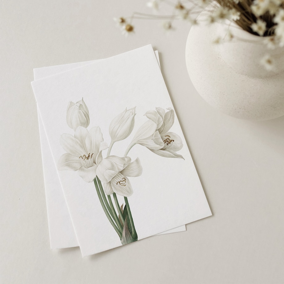 Plakat Krynia 30x40cm