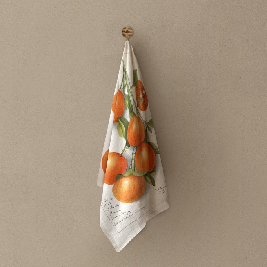 Lniana ścierka kuchenna - Gałąź pomarańczy