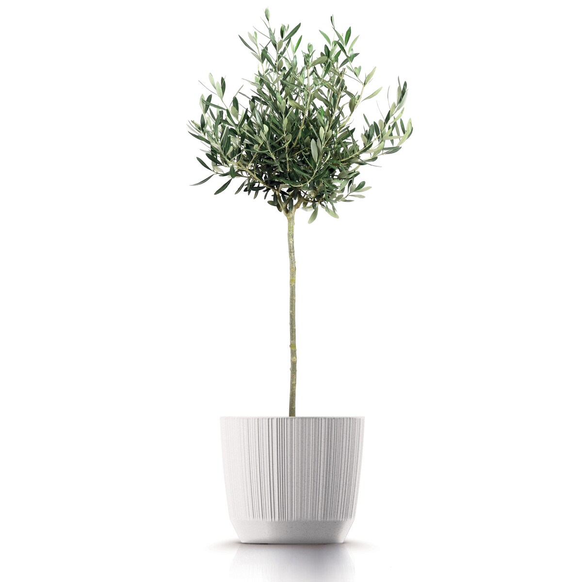 Doniczka Osłonka Domowa 19,5 Cm Ryfo Na Stół Parapet Do Domu Biała