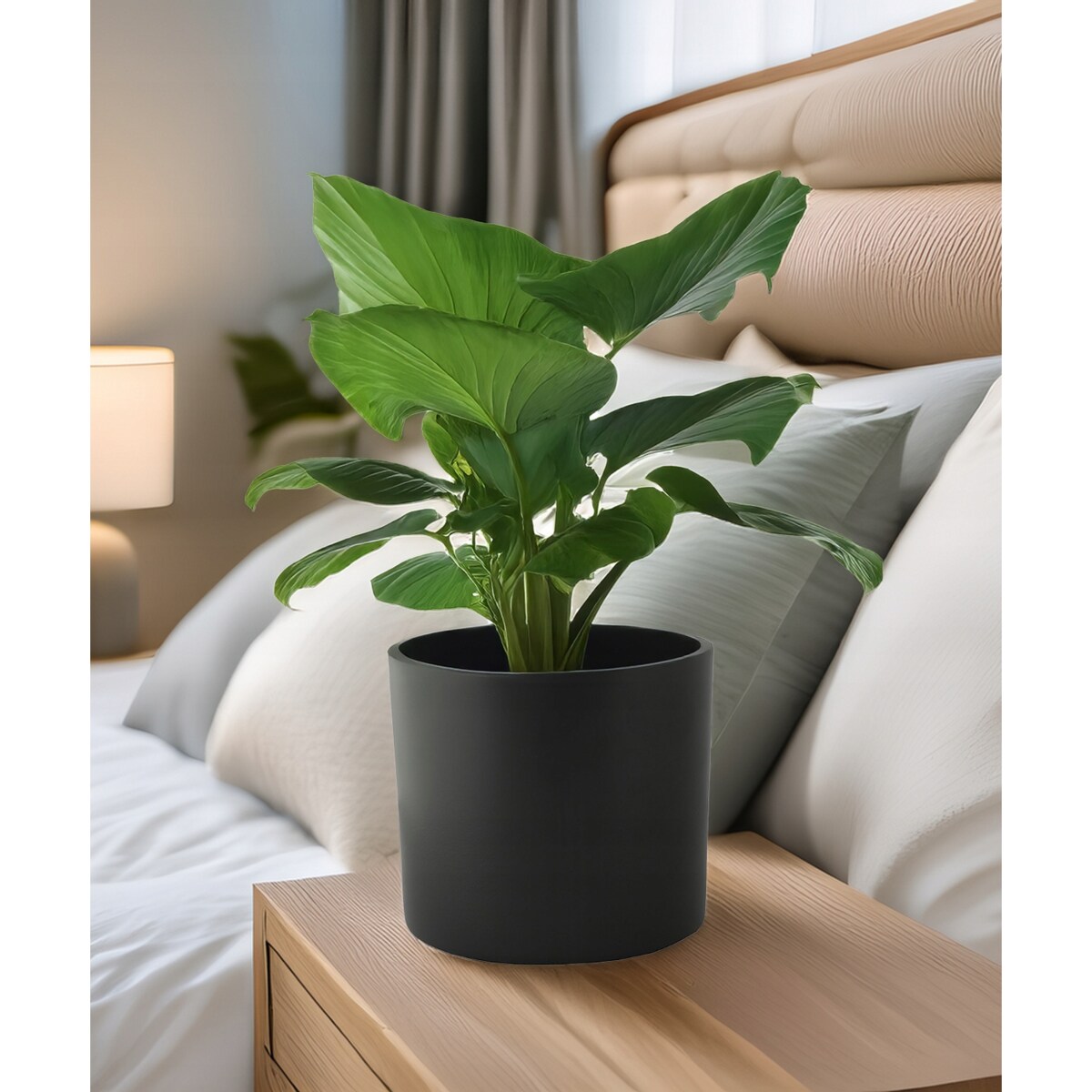 DONICZKA CERAMICZNA DUŻA 19cm czarna osłonka okrągła na bonsai do palmy