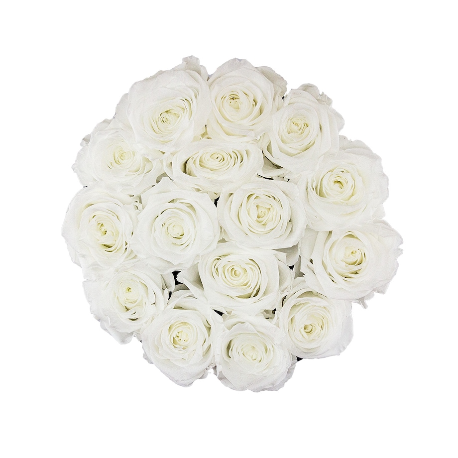 Białe Wieczne Róże w Czarnym Okrągłym Boxie