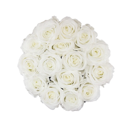 Białe Wieczne Róże w Czarnym Okrągłym Boxie