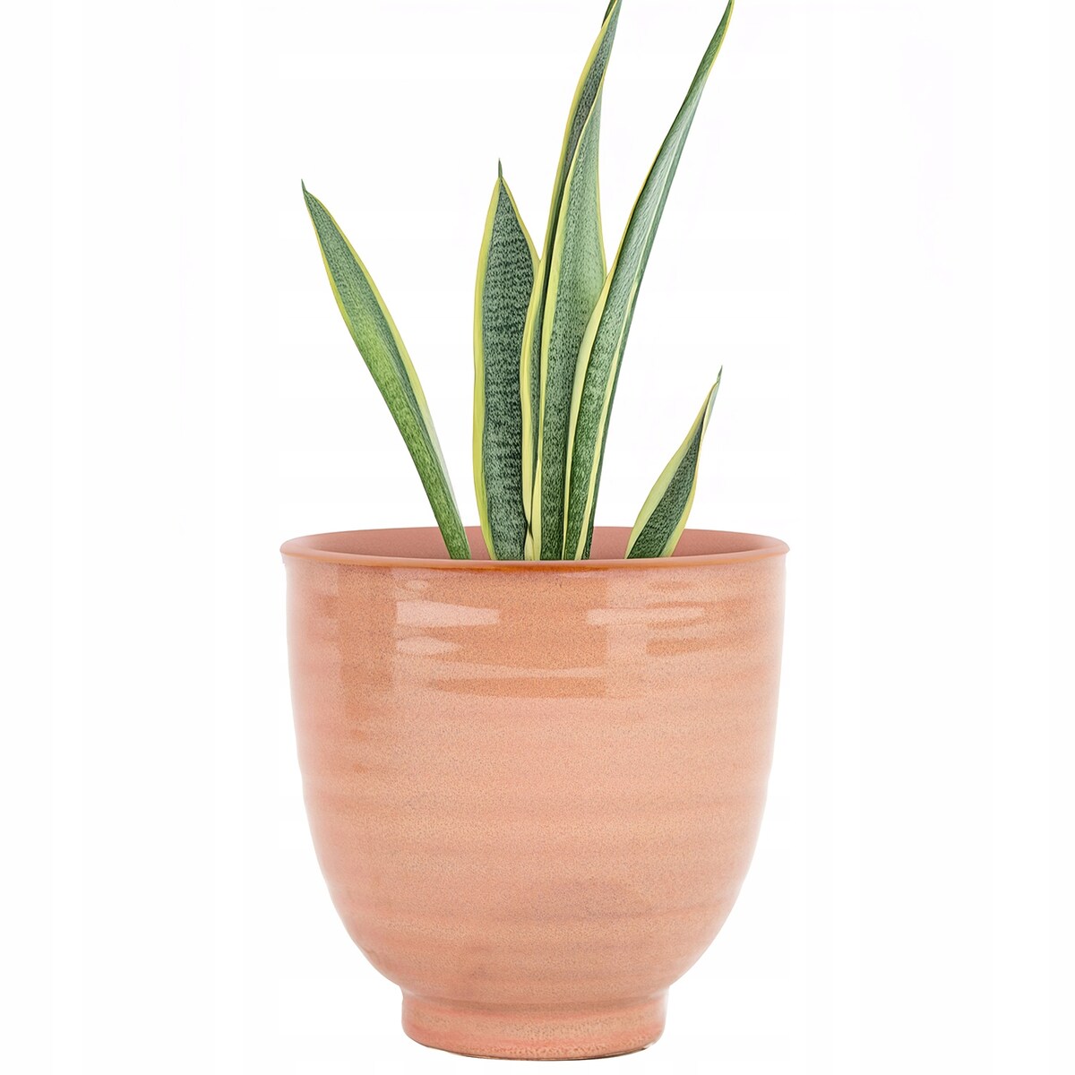DONICZKA DO STORCZYKA 14cm aloes bonsai ceramiczna różowa okrągła wysoka