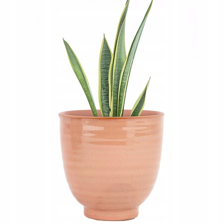 DONICZKA DO STORCZYKA 14cm aloes bonsai ceramiczna różowa okrągła wysoka