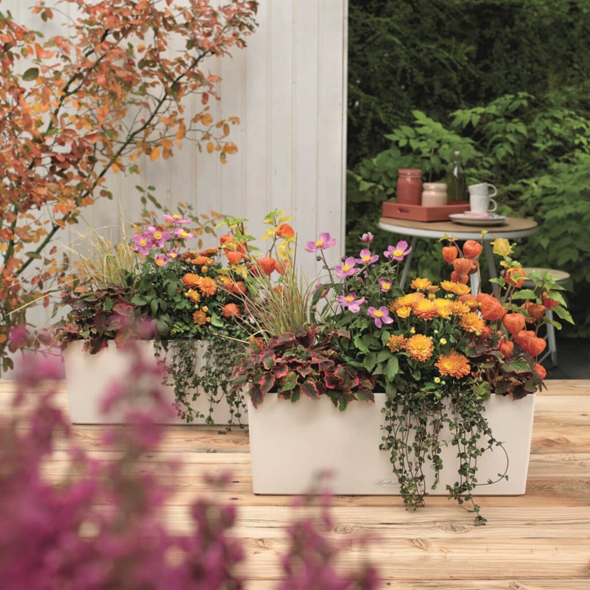 LECHUZA Donica Balconera Color 50 ALL-IN-ONE, biała, 15670