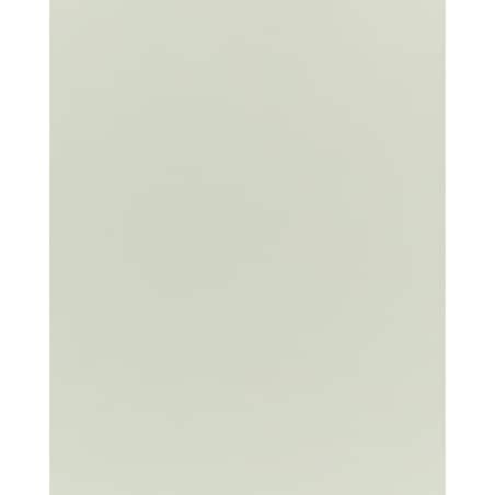 Regał na książki 3 półki LILOET 102 cm Jasnozielony