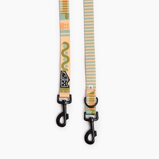 Smycz przepinana dla psa lub kota "Piesss"