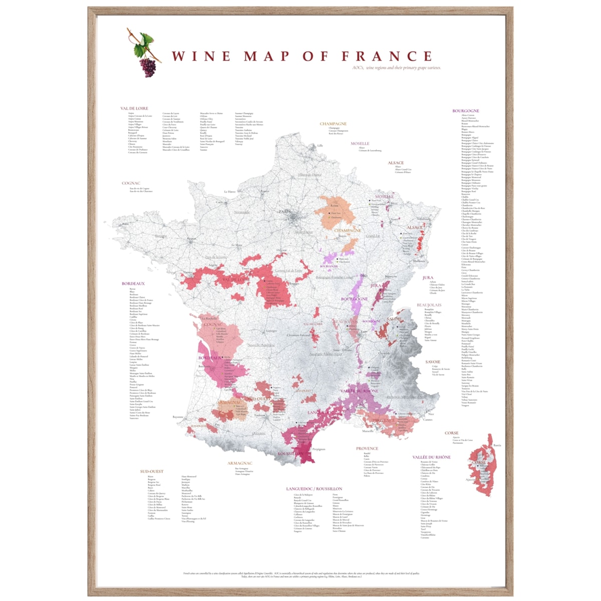 plakat FRANCJA regiony winiarskie 50x70cm