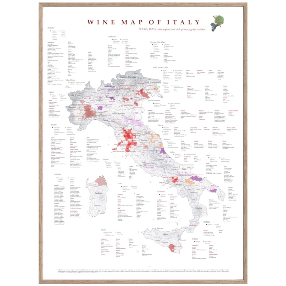 plakat WŁOCHY regiony winiarskie 50x70cm