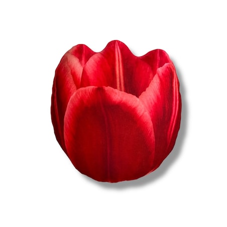 Poduszka kwiat Tulipan czerwony mały