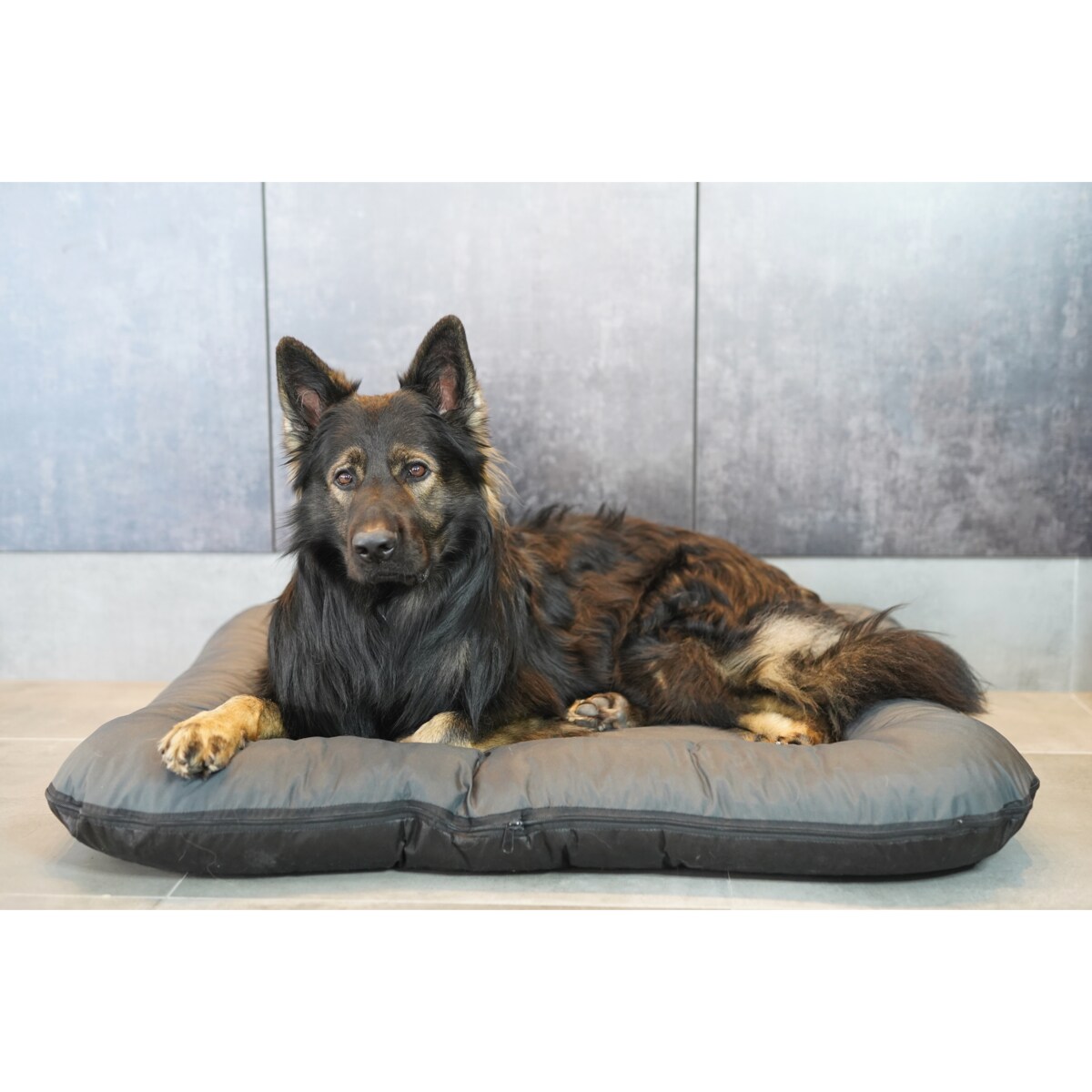 Wodoodporny materac dla psa ponton KLEO, 90x70 cm, Grafit