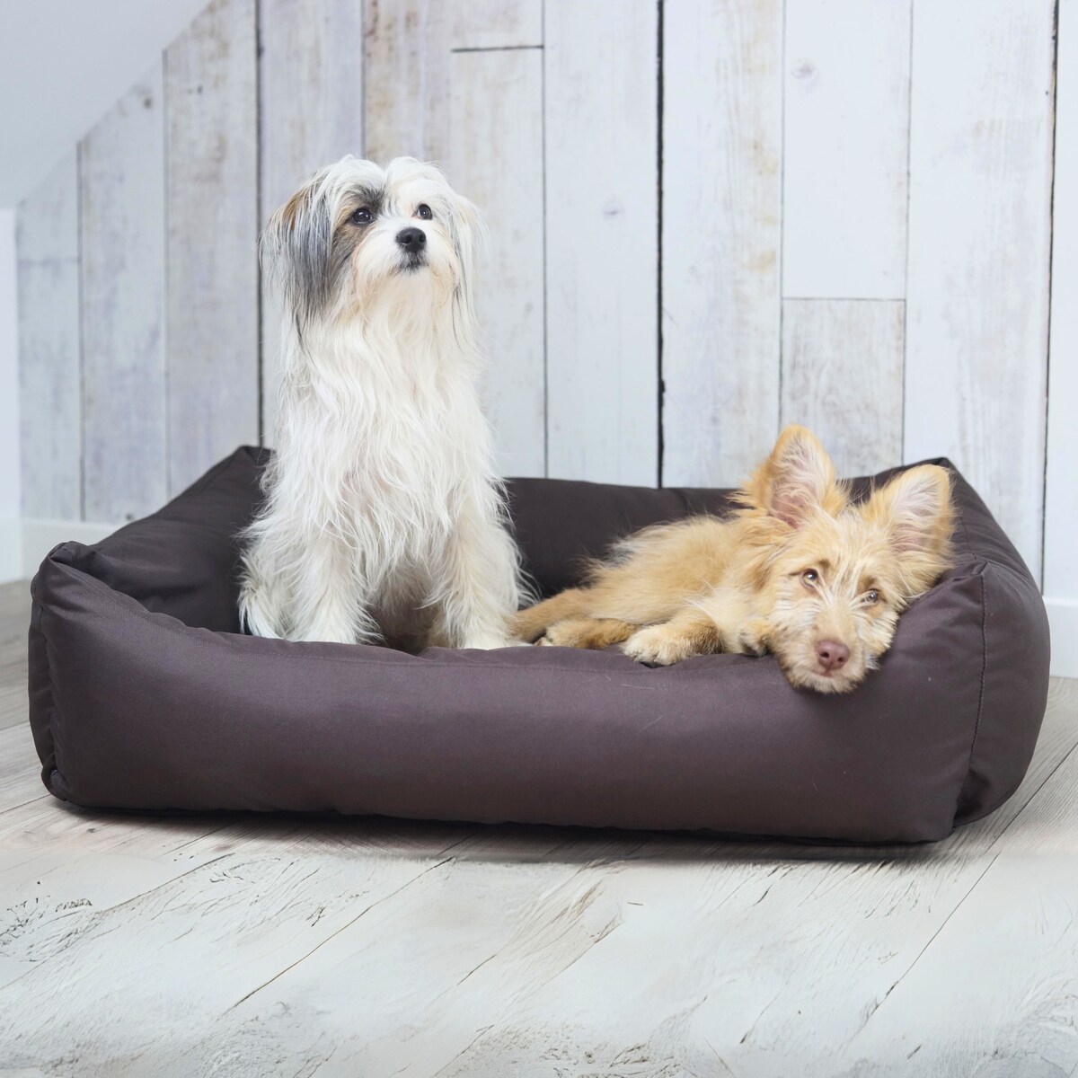 Wodoodporne legowisko dla psa KOKO, 120x100 cm, Brąz