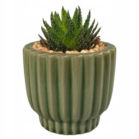 DONICA DONICZKA CERAMICZNA ZIELONA 10cm na sukulenty okrągła do salonu